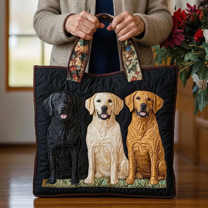 Anka - Tri Labradora Različitih Boja
